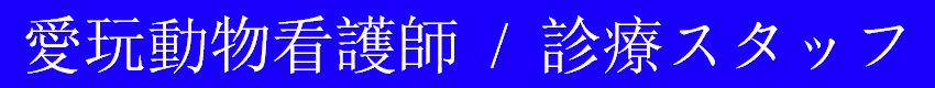 診療スタッフ